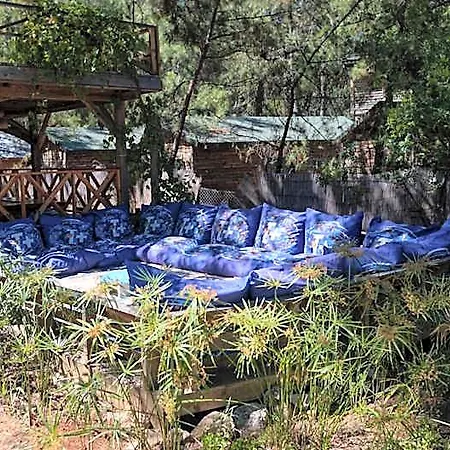 Hotel Chakra Kabak