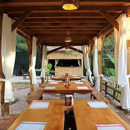 Chakra Kabak Cedit